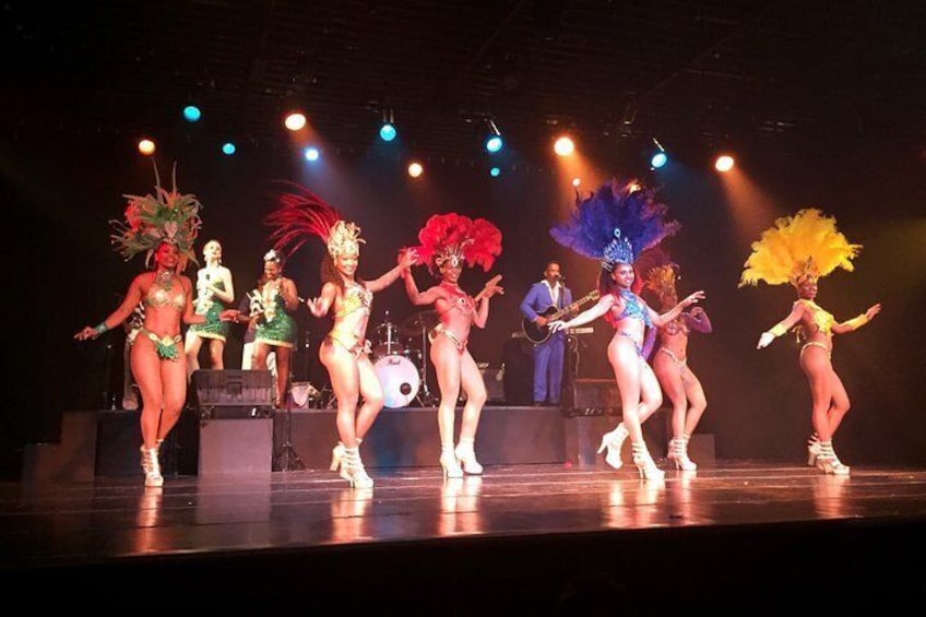 Guided Tour to Ginga Tropical Music Show With Dinner