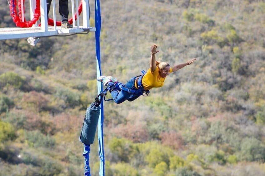 IBO Bungee en Cola de Caballo