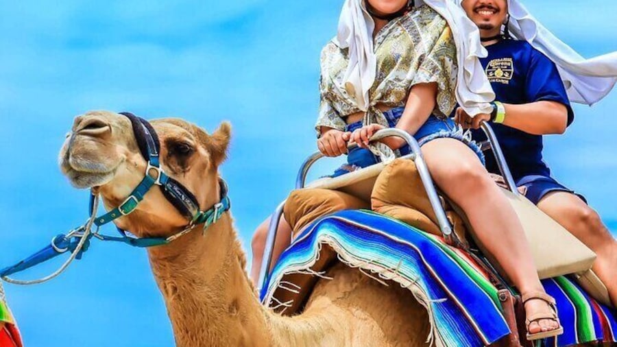 Camel Ride and UTV Combo Adventure, with Tequila Tasting