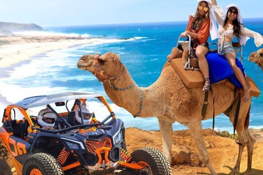 Camel Ride and UTV Combo Adventure, with Tequila Tasting