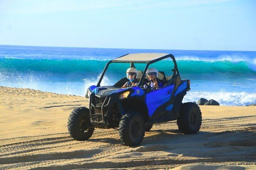 NEW! Combo Camel Ride & UTV 4X4 Cabo Adventure, Tequila & Deliciu