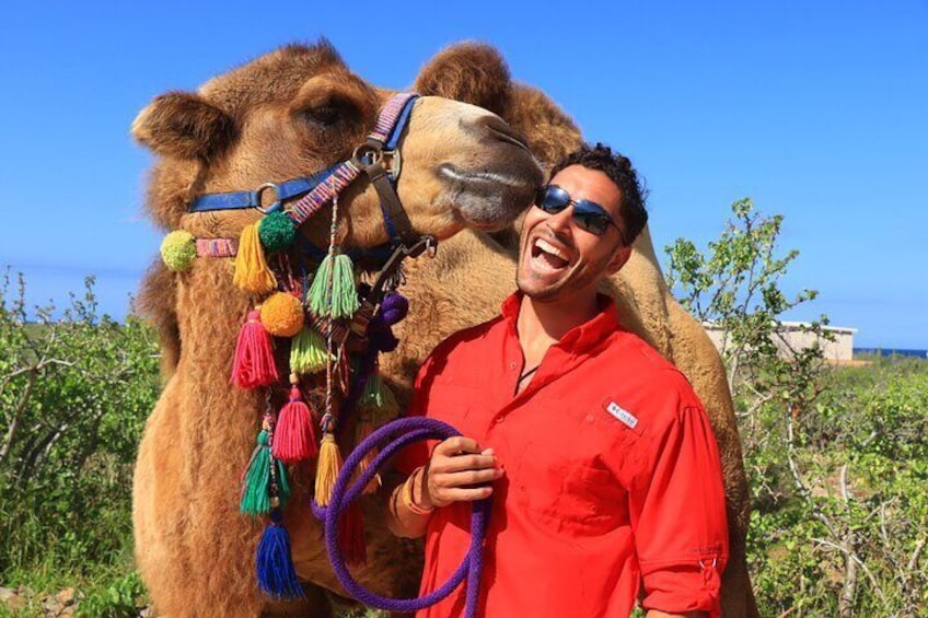 NEW! Combo Camel Ride & UTV 4X4 Cabo Adventure, Tequila & Deliciu