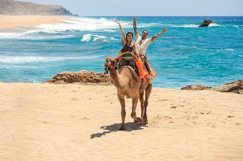 NEW! Combo Camel Ride & UTV 4X4 Cabo Adventure, Tequila & Deliciu