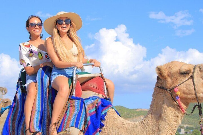 NEW! Combo Camel Ride & UTV 4X4 Cabo Adventure, Tequila & Deliciu