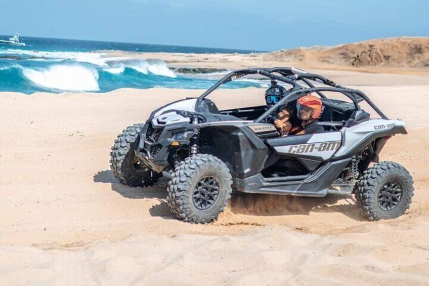 NEW! Combo Camel Ride & UTV 4X4 Cabo Adventure, Tequila & Deliciu