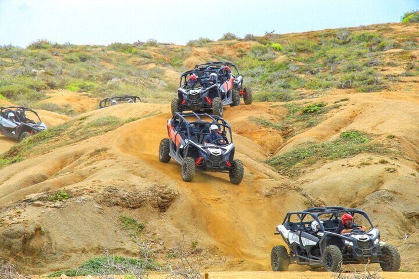 NEW! Combo Camel Ride & UTV 4X4 Cabo Adventure, Tequila & Deliciu