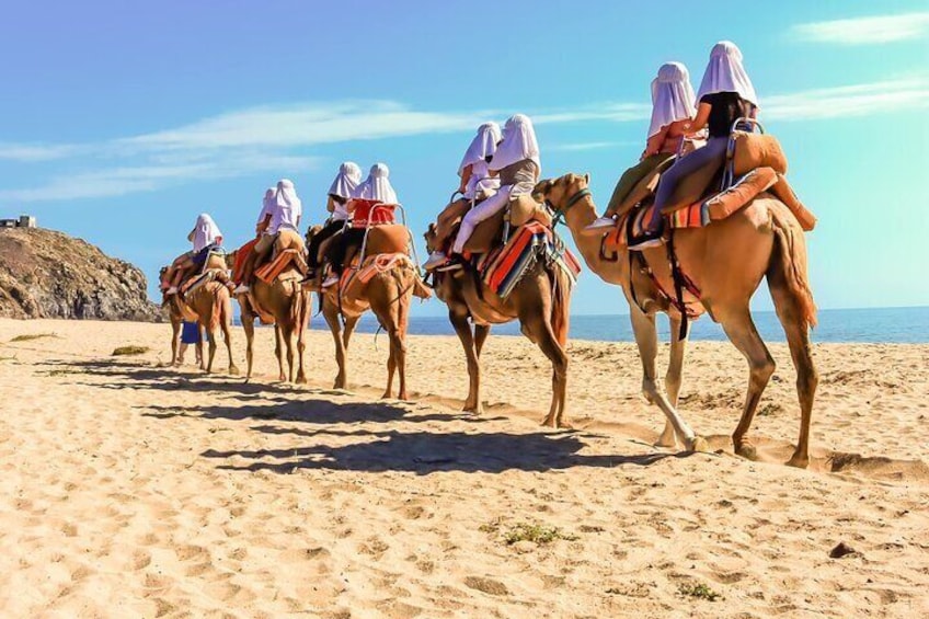 NEW! Combo Camel Ride & UTV 4X4 Cabo Adventure, Tequila & Deliciu
