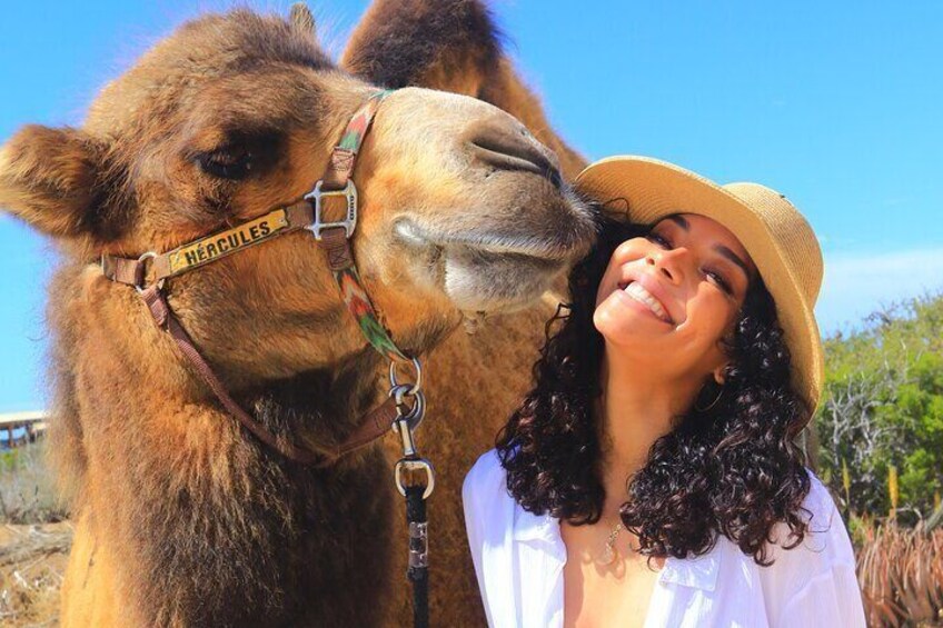 NEW! Combo Camel Ride & UTV 4X4 Cabo Adventure, Tequila & Deliciu