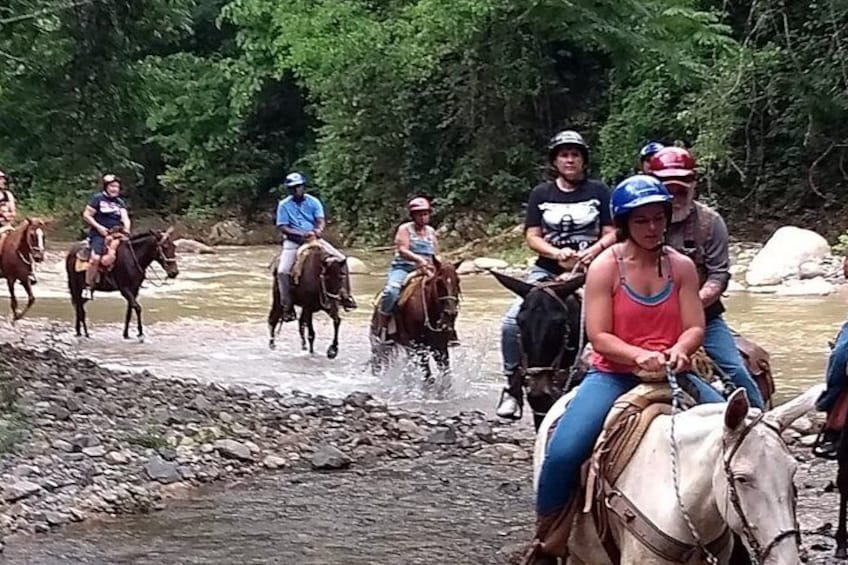 Enjoy the horse riding experience 
