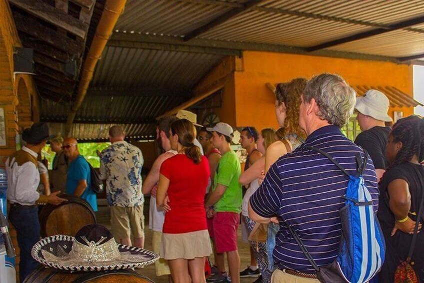 City and Tequila Tour in Puerto Vallarta