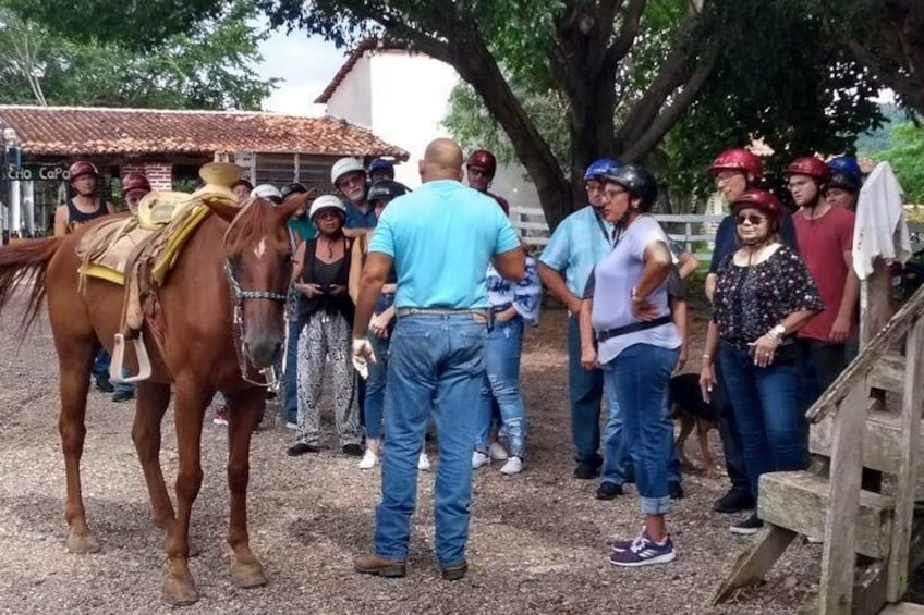 Horse back riding