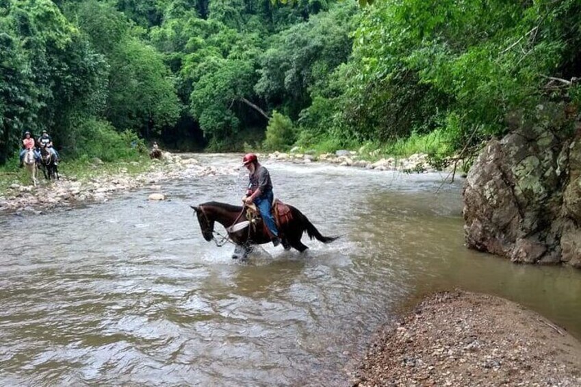 Experience Horse Riding, ATV & Zipline 