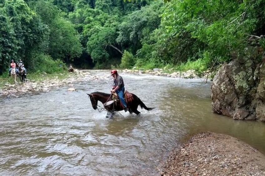 Experience Horse Riding, ATV & Zipline