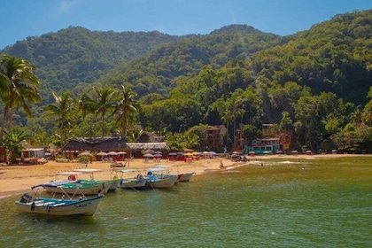 Private Boat Tour to Yelapa with Snorkelling and Waterfall Hike