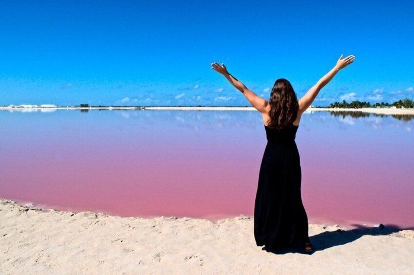 Take you beautiful pictures
