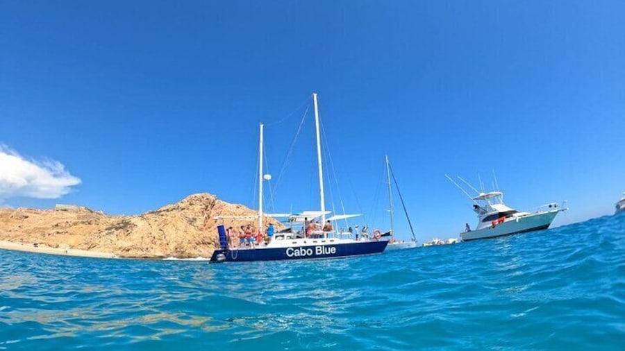 Cabo Blue Snorkeling Cruise, Open Bar and Lunch in Cabo San Lucas