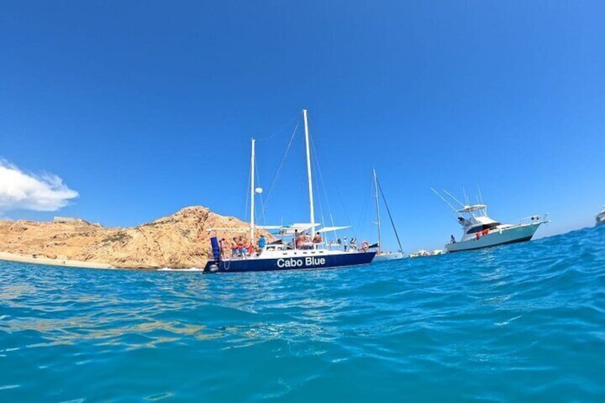 Cabo Blue Snorkeling Cruise, Open Bar and Lunch in Cabo San Lucas