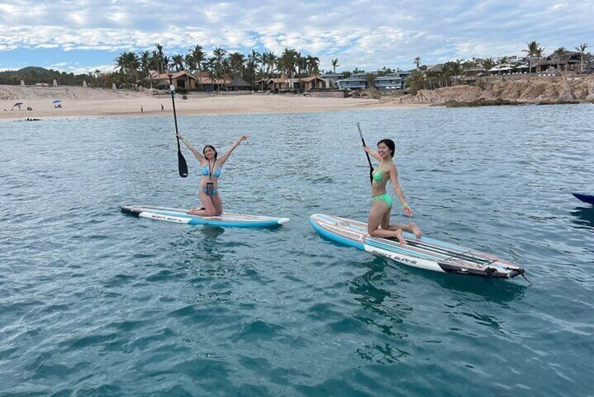 Paddle boards