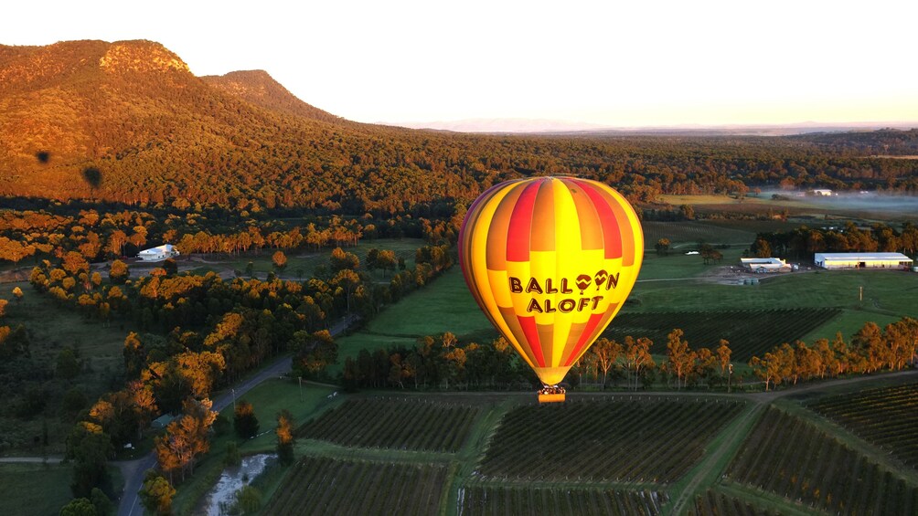 hot air ballon floats above landscape in Hunter Valley