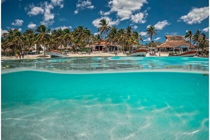 Ruines privées de Tulum, tortues à Akumal et aventure dans le cénote
