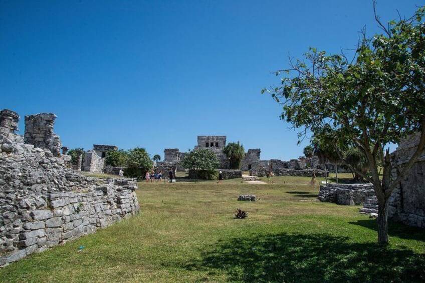 Tulum honored the “diving god” or “descending god” and “the god of the bee”, an important insect for the Maya even today.