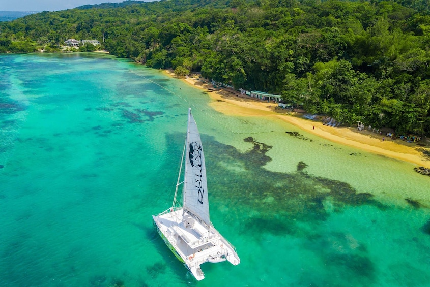Reggae Family Catamaran Cruise to Margaritaville with Drinks