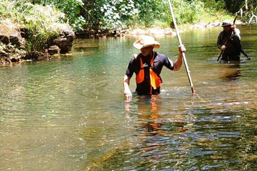  Private Hawaiian Jungle Waterfall Adventure Wit Da Hawaiian Dundee 