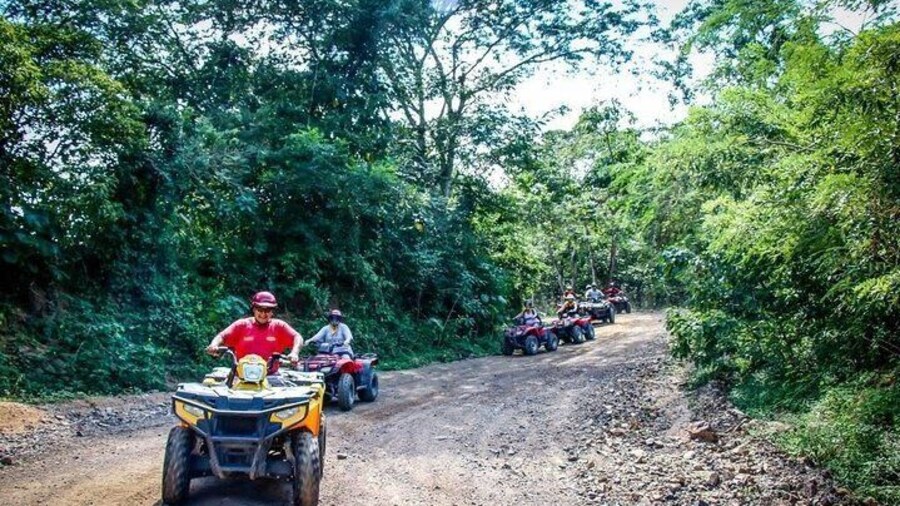 Vallarta is waiting for you