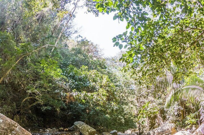 Hiking, Nature walk, Eco tour Park, Fauna, Bird watch