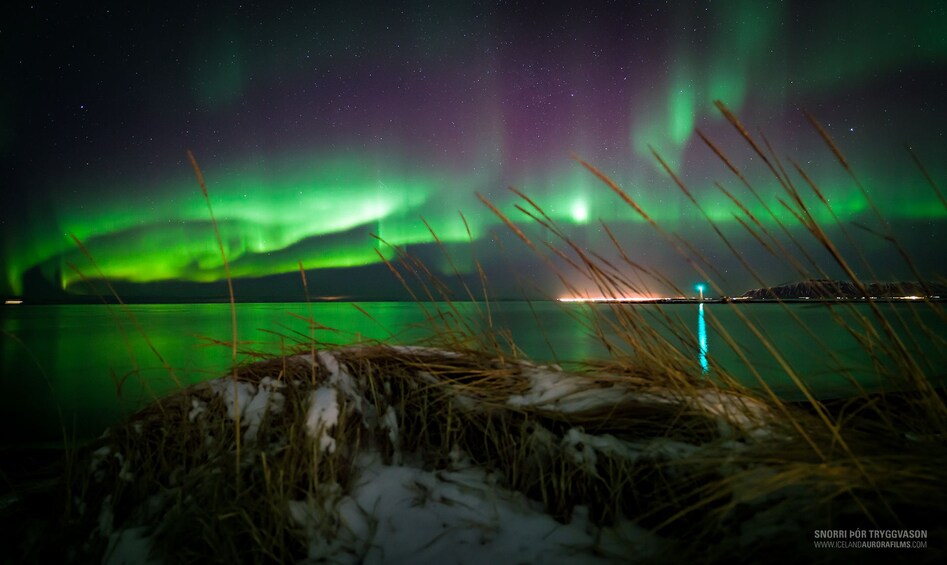 Guided Tour to the Golden Circle & Northern Lights