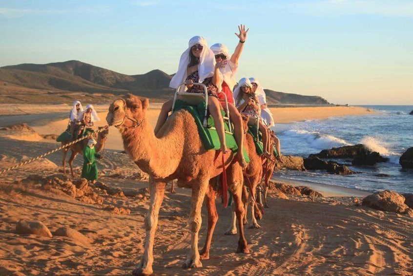 Cabos Fun Journey Camel Ride Tour Migreno Beach.Best Experience In Cabo!