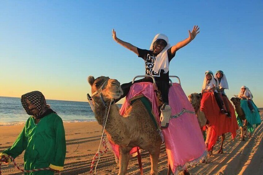 Cabos Fun Journey Camel Ride Tour Migreno Beach.1 of the top 5 Best Experience In Cabo!