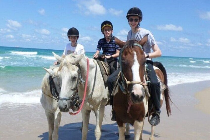 HORSE BACK RIDING 
Mountain Desert Beach