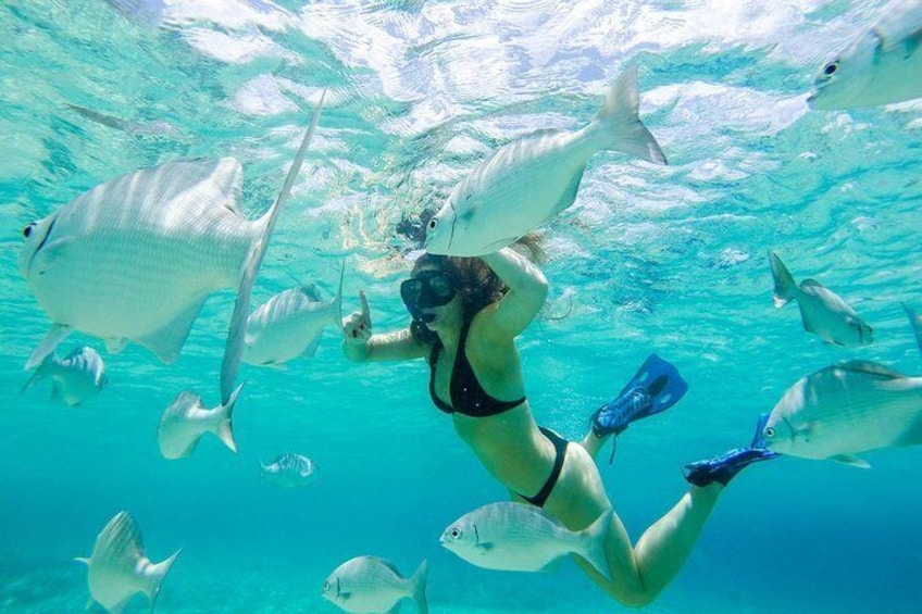 Snorkeling