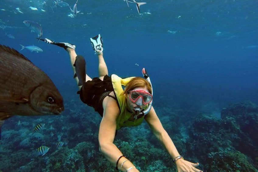 Snorkeling