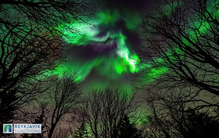 De Reykjavik : Northern Lights et Stargazing Tour avec garantie à vie