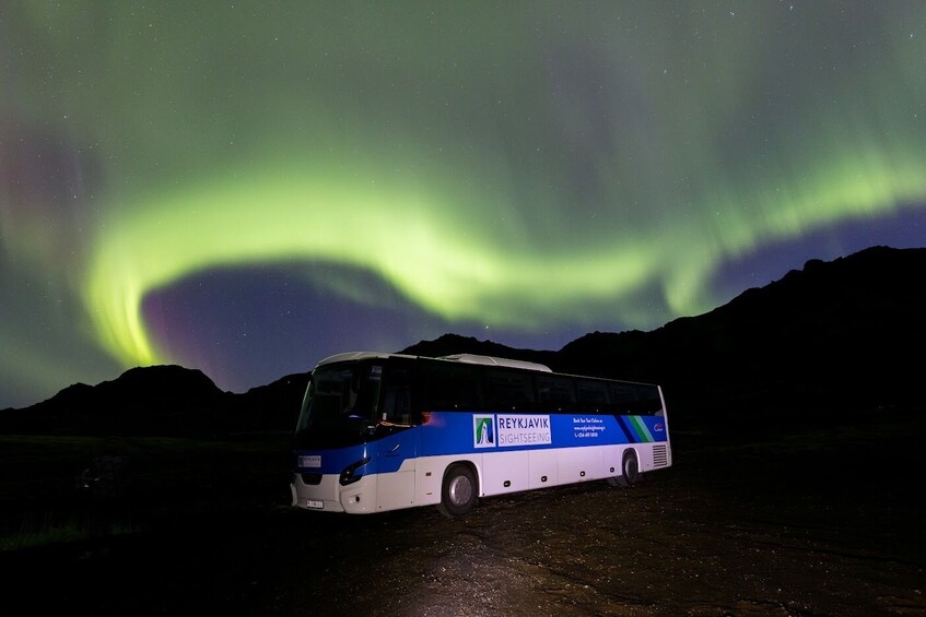 Northern Lights & Constellations Guided Tour from Reykjavik