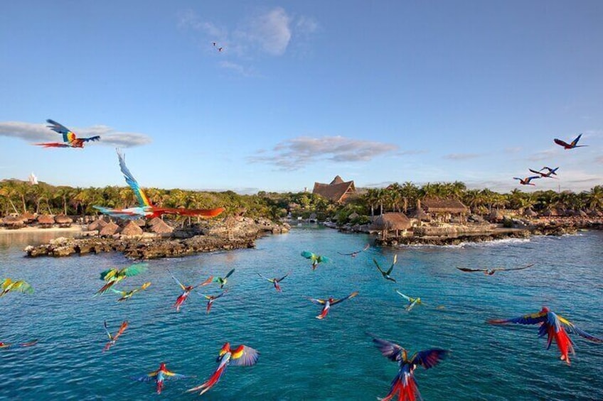 Xcaret Plus Tour Full Day Nature Adventure