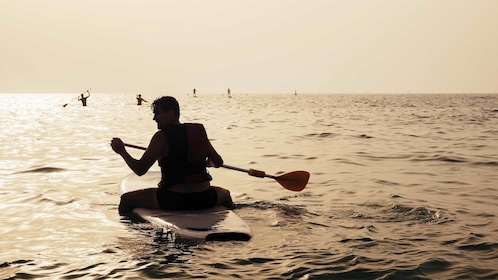 Alquiler de paddleboard o kayak en la bahía de San Diego