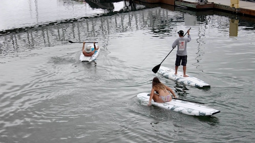Guided Paddleboarding Tour of San Diego Bay