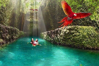 Xcaret Plus! Transport Included from Cancun & Riviera Maya