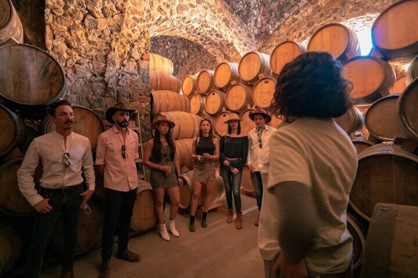 Be amazed by the underground cellar where tequila is aged