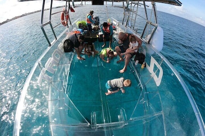 Aventura de snorkel en bote invisible en Cozumel