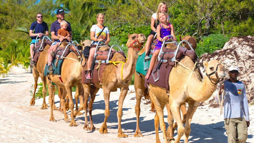 Maroma Beach Camel Safari from Cancun 