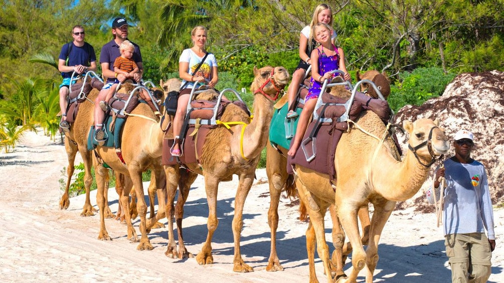 A camel safari tour in Cancun