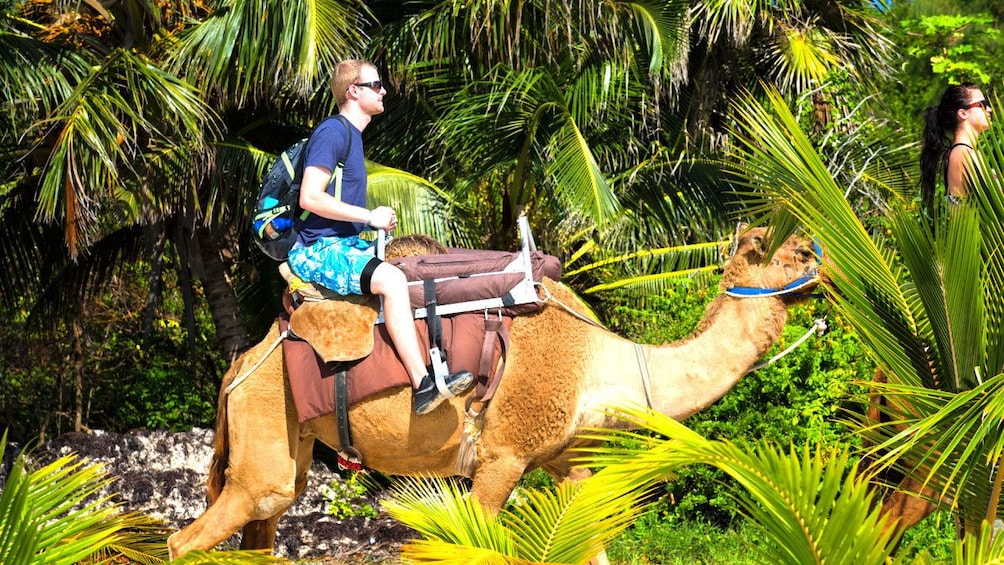 Man on a camel safari tour in Cancun
