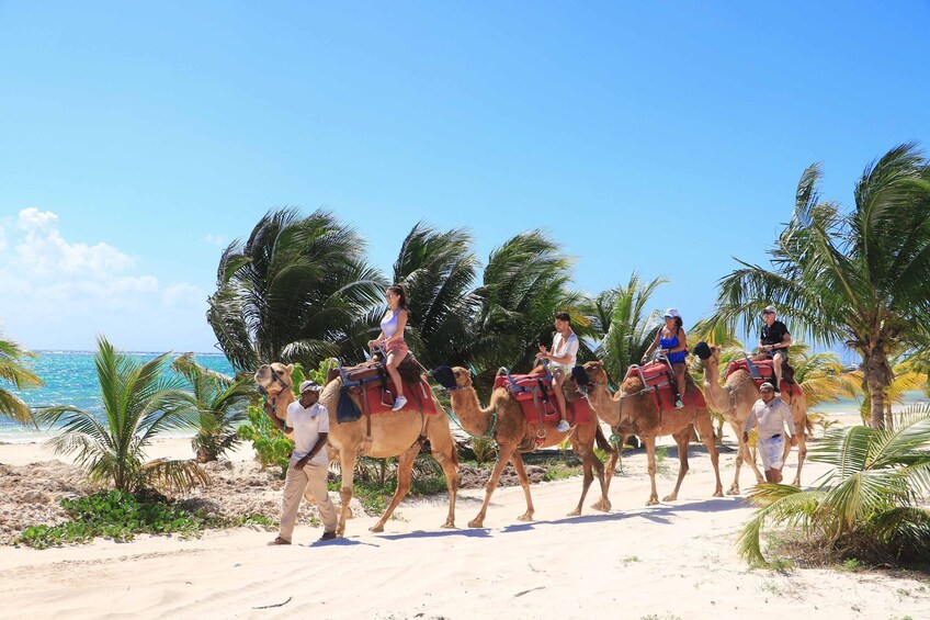 MAROMA CAMEL SAFARI
