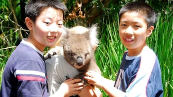 Australia Zoo Full Day Tour from Brisbane
