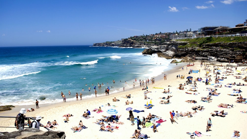 Aerial beach view in Australia 