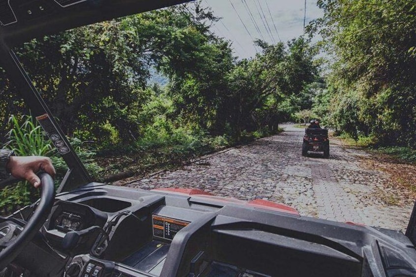 ATV Adventure in the Jungle - Shared